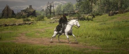 Red Dead Redemption 2 - где найти белую арабскую лошадь