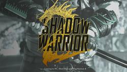 Коды Shadow Warrior 2