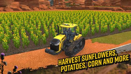 Гайд Farming Simulator 18. Сравнение культур по урожайности и цене