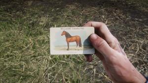 Red Dead Redemption 2 - Where to Find All Cigarette Cards