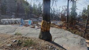 Fallout 76 - where to find glowing resin