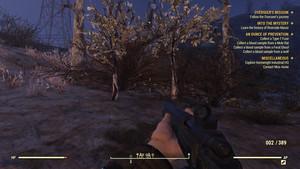 Fallout 76 - where to find discolored dogwood for your water filter