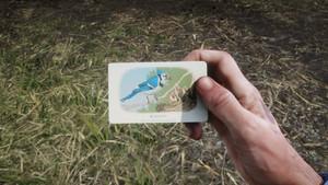 Red Dead Redemption 2 - Where to Find All Cigarette Cards