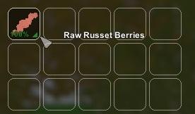 Unturned guide: types of berries and where they spawn