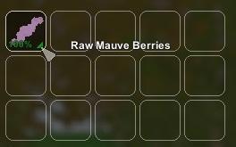 Unturned guide: types of berries and where they spawn